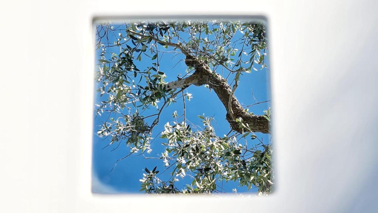 Pietrefitte Séjour à la campagne *