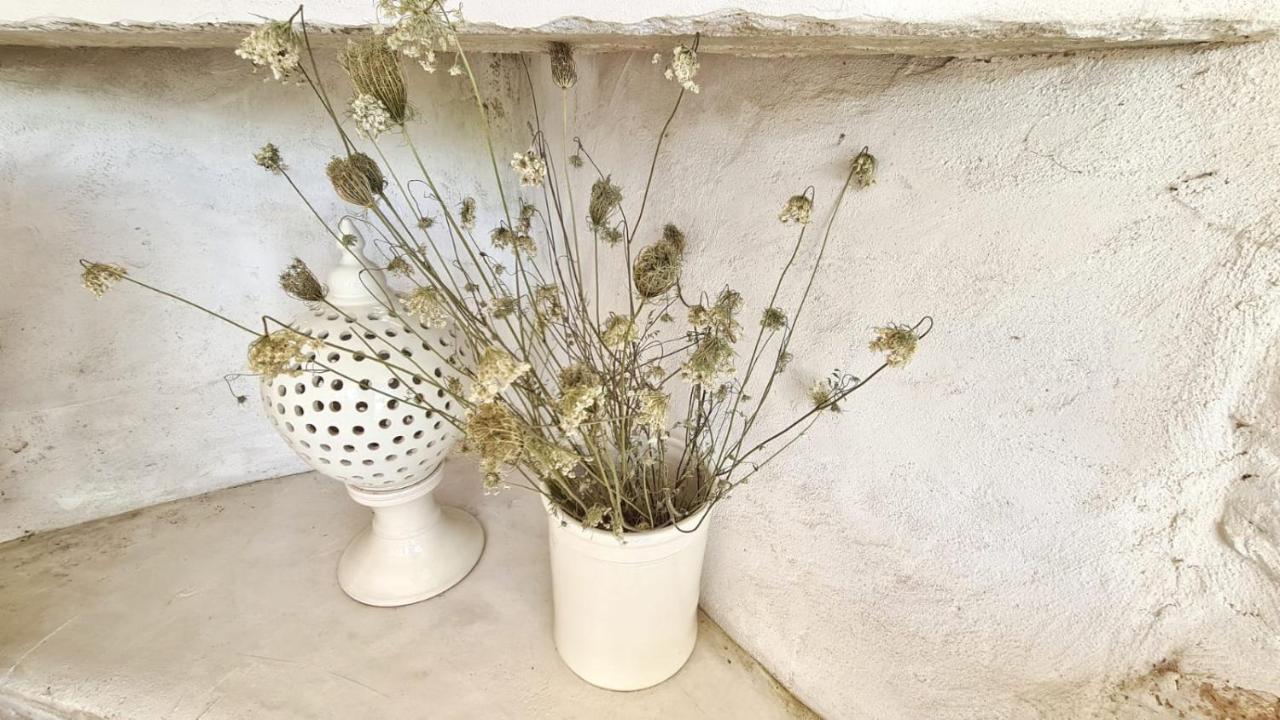 Country house Pietrefitte Ostuni